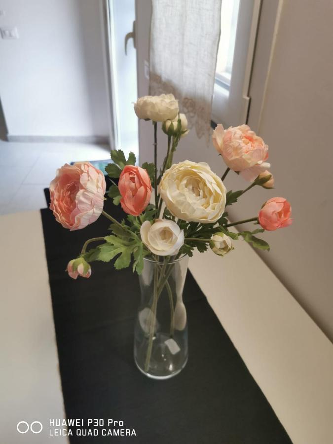 Il Giardino In Centro Διαμέρισμα Κατάνια Εξωτερικό φωτογραφία
